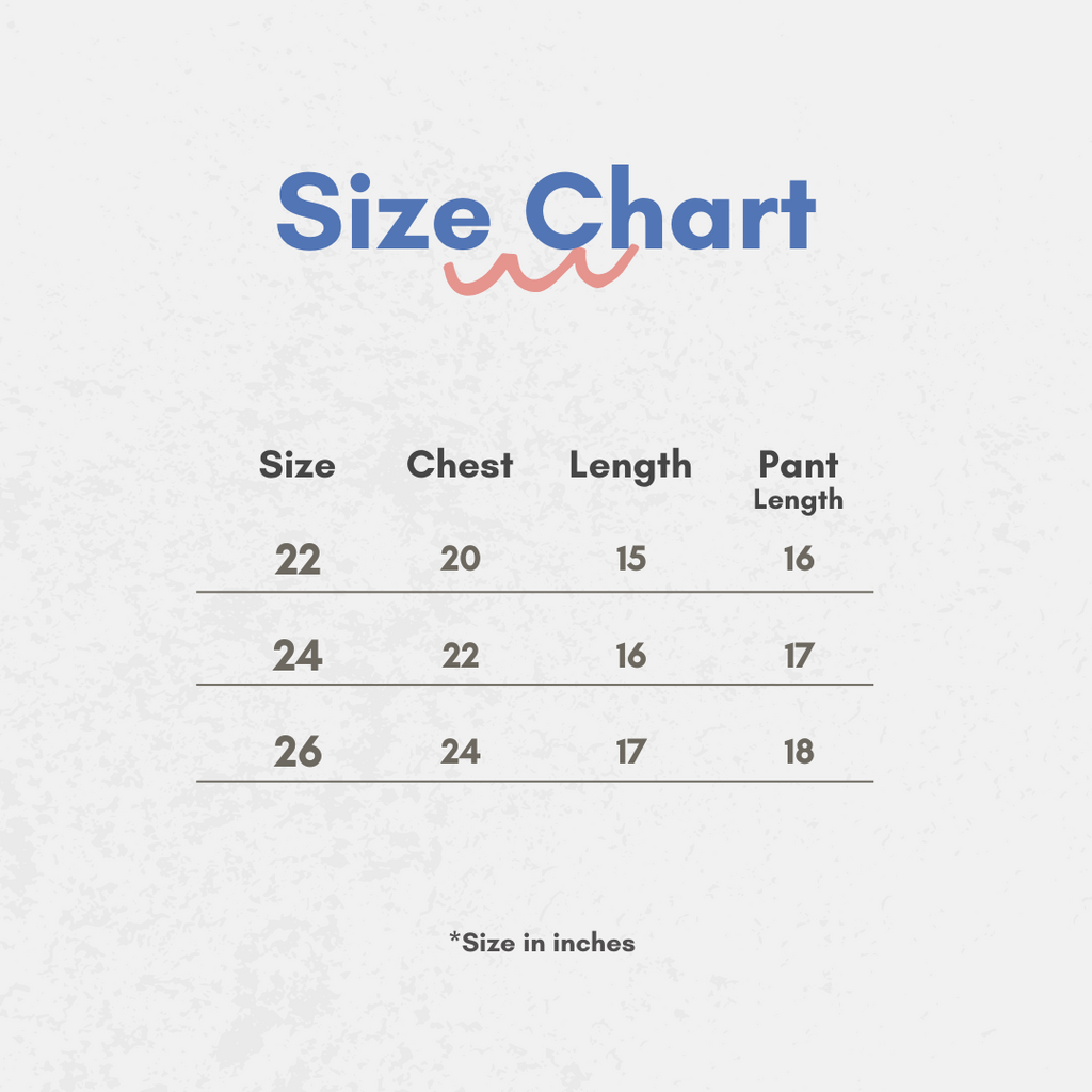 Disney Kids Pant Set