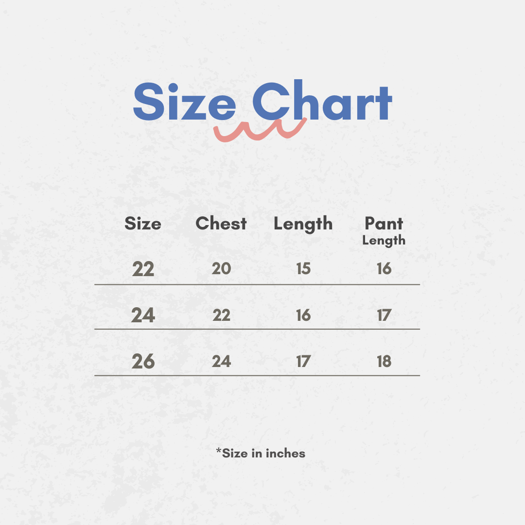 Disney Kids Pant Set