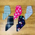 Kids Pant Combo Pack of 5