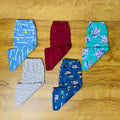 Kids Pant Combo Pack of 5