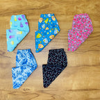 Kids Pant Combo Pack of 5