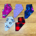 Kids Pant Combo Pack of 5
