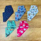 Kids Pant Combo Pack of 5