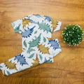 Kids Pant Set