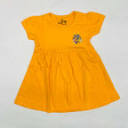 Daisy Frock Combo Pack Of 3