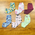 Kids Pant Combo Pack of 6