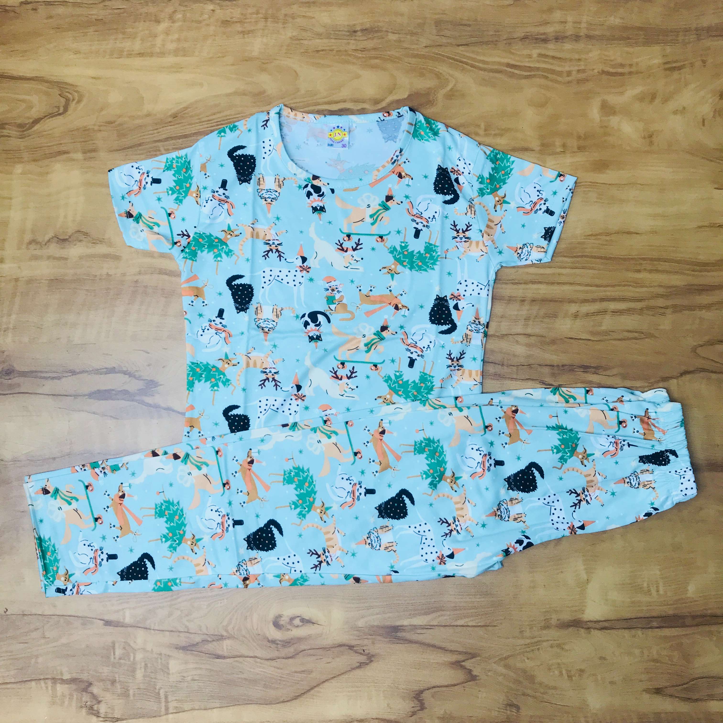 Pant Set Printed