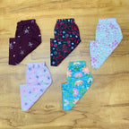 Kids Pant Combo Pack of 5