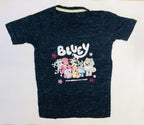 Kids T-Shirt Combo Pack Of 2