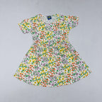 Dora Frock Combo Pack of 3