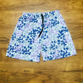 Ladies Shorts (L)