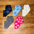 Kids Pant Combo Pack of 5