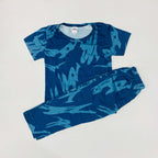 Kids Pant Set