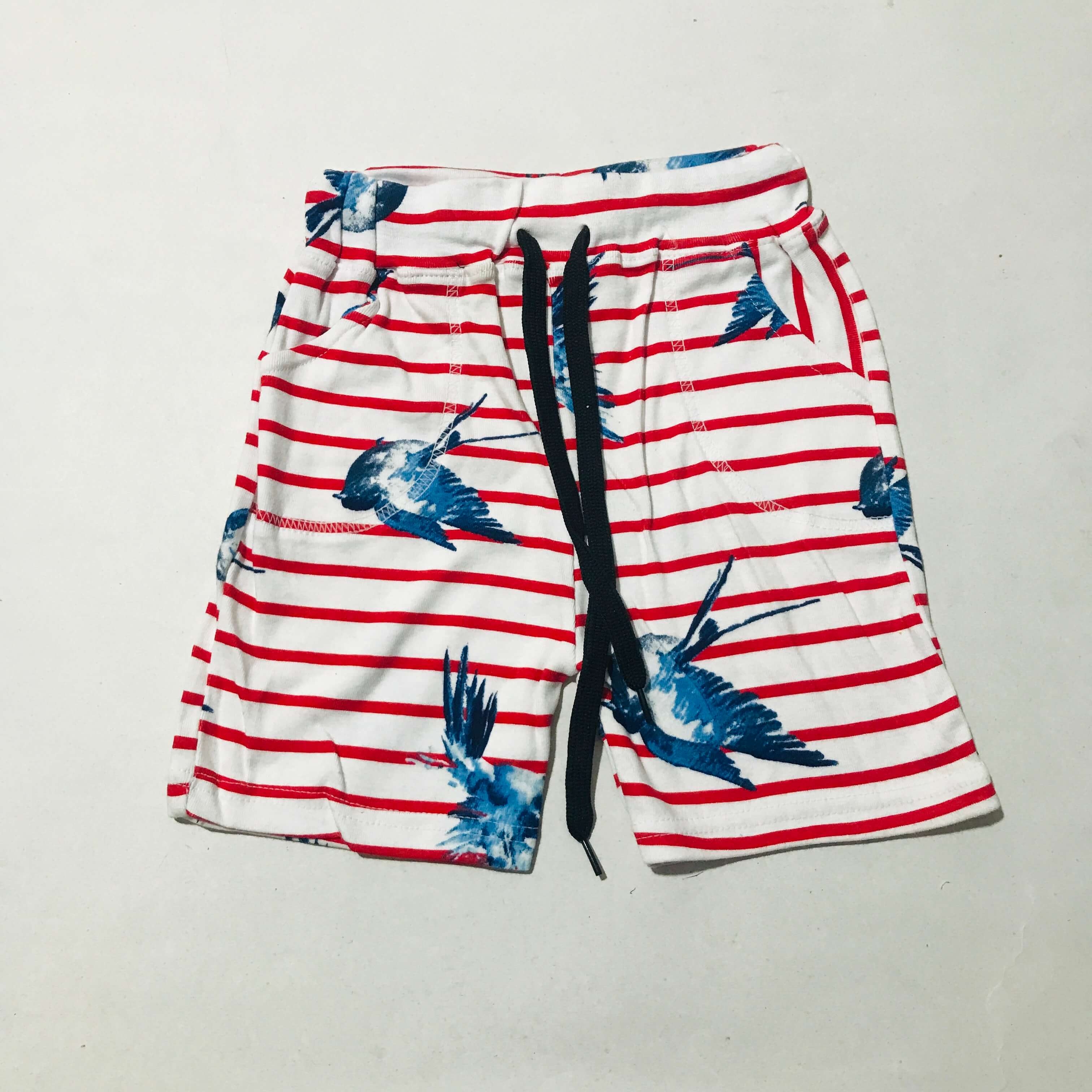 Nikker   (3-4 Years)