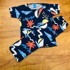 Kids Pant Set