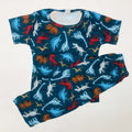 Kids Pant Set
