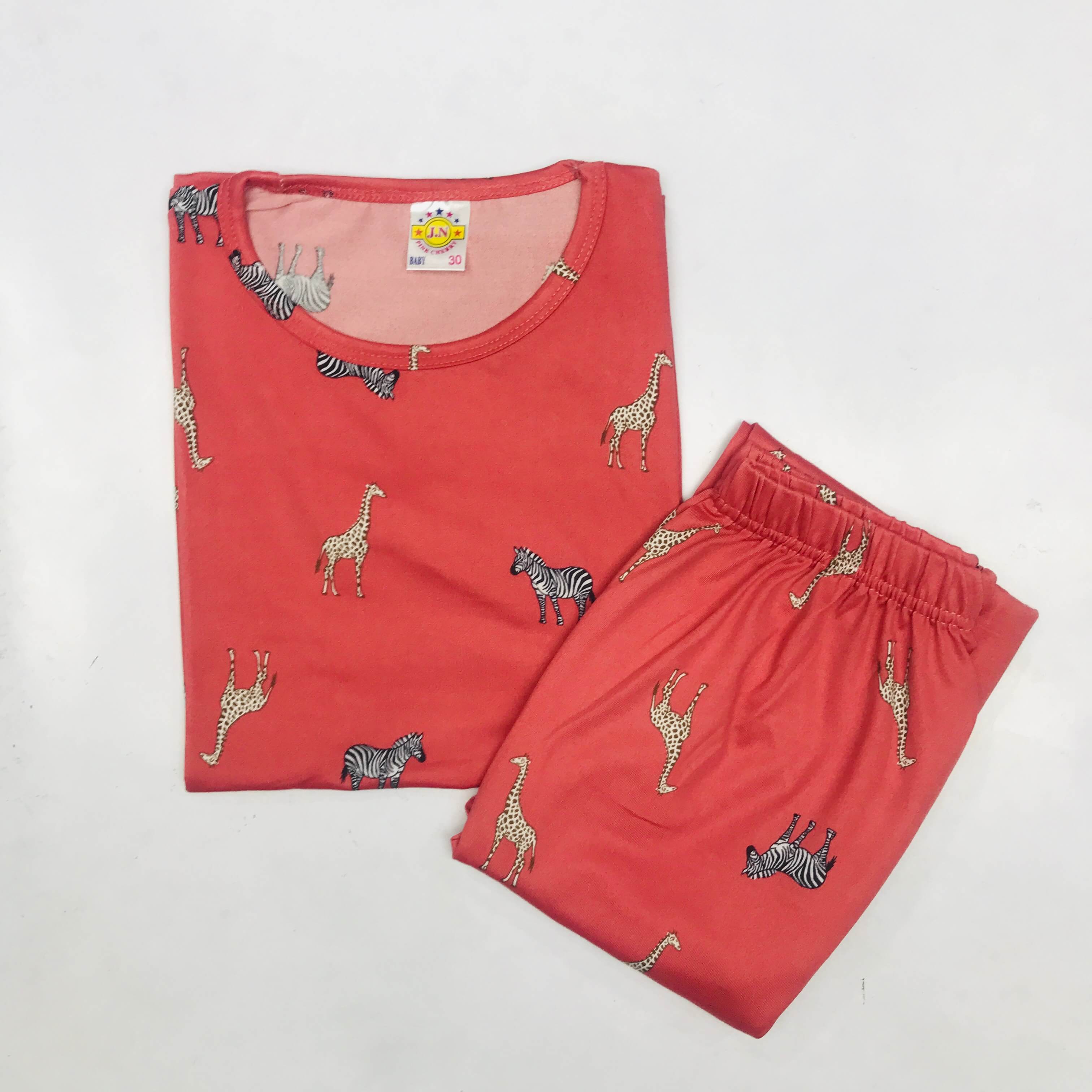 Pant Set Printed