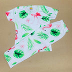 Pant Set