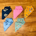 Kids Pant Combo Pack of 5