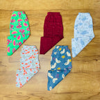 Kids Pant Combo Pack of 5