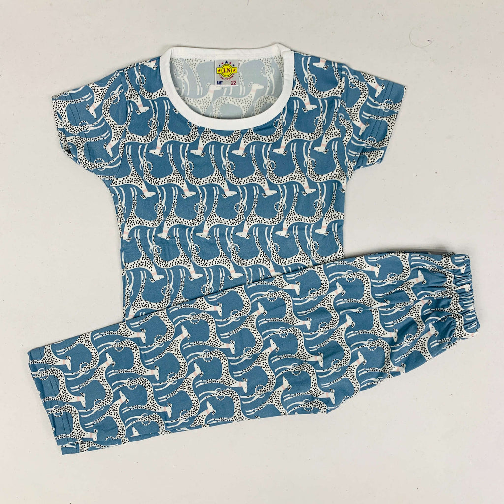 Pant Set