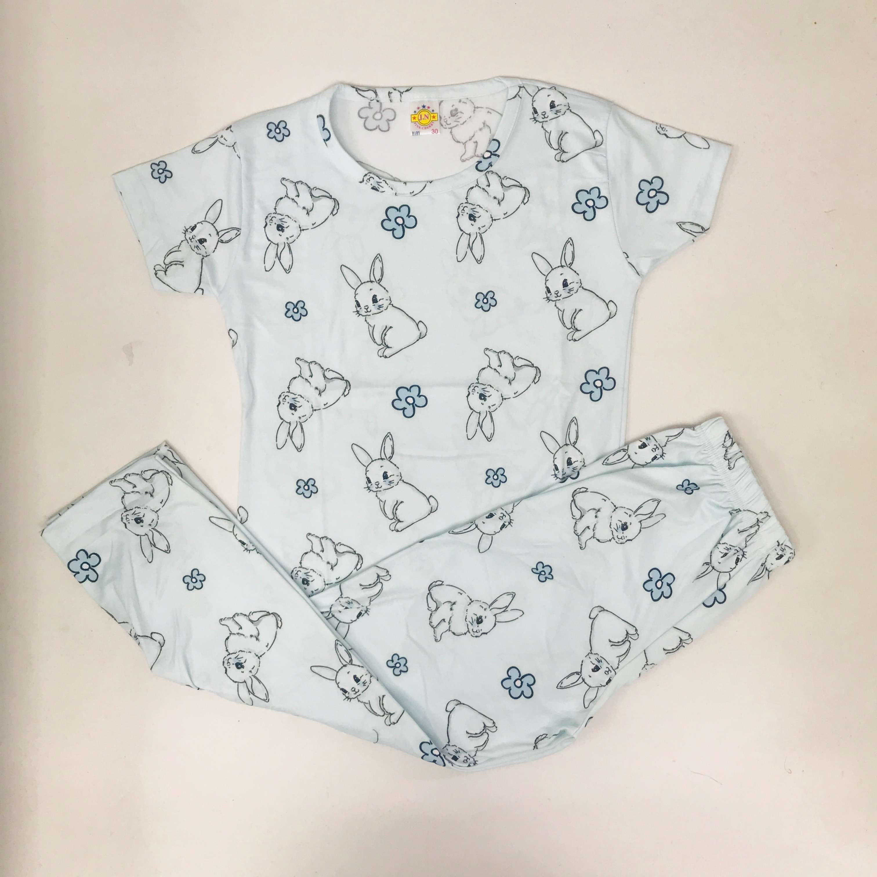 Pant Set Printed
