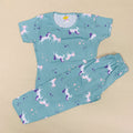 Pant Set