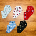 Kids Pant Combo Pack of 5