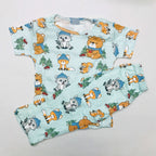 Kids Pant Set