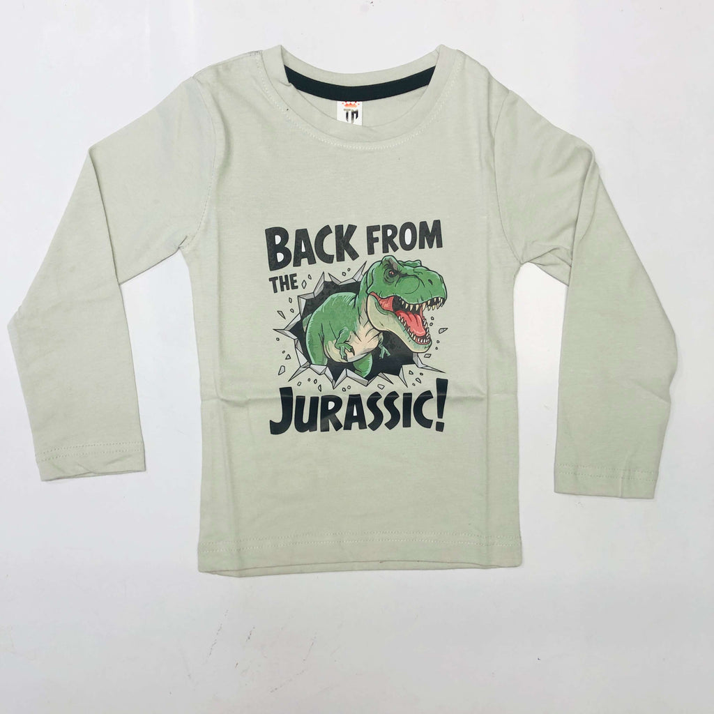 Junior Joy Full Sleeve T-Shirt Combo Pack Of 2