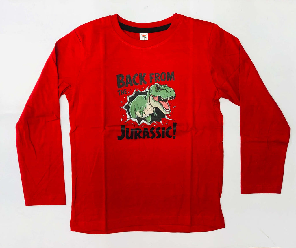Junior Joy Full Sleeve T-Shirt Combo Pack Of 2