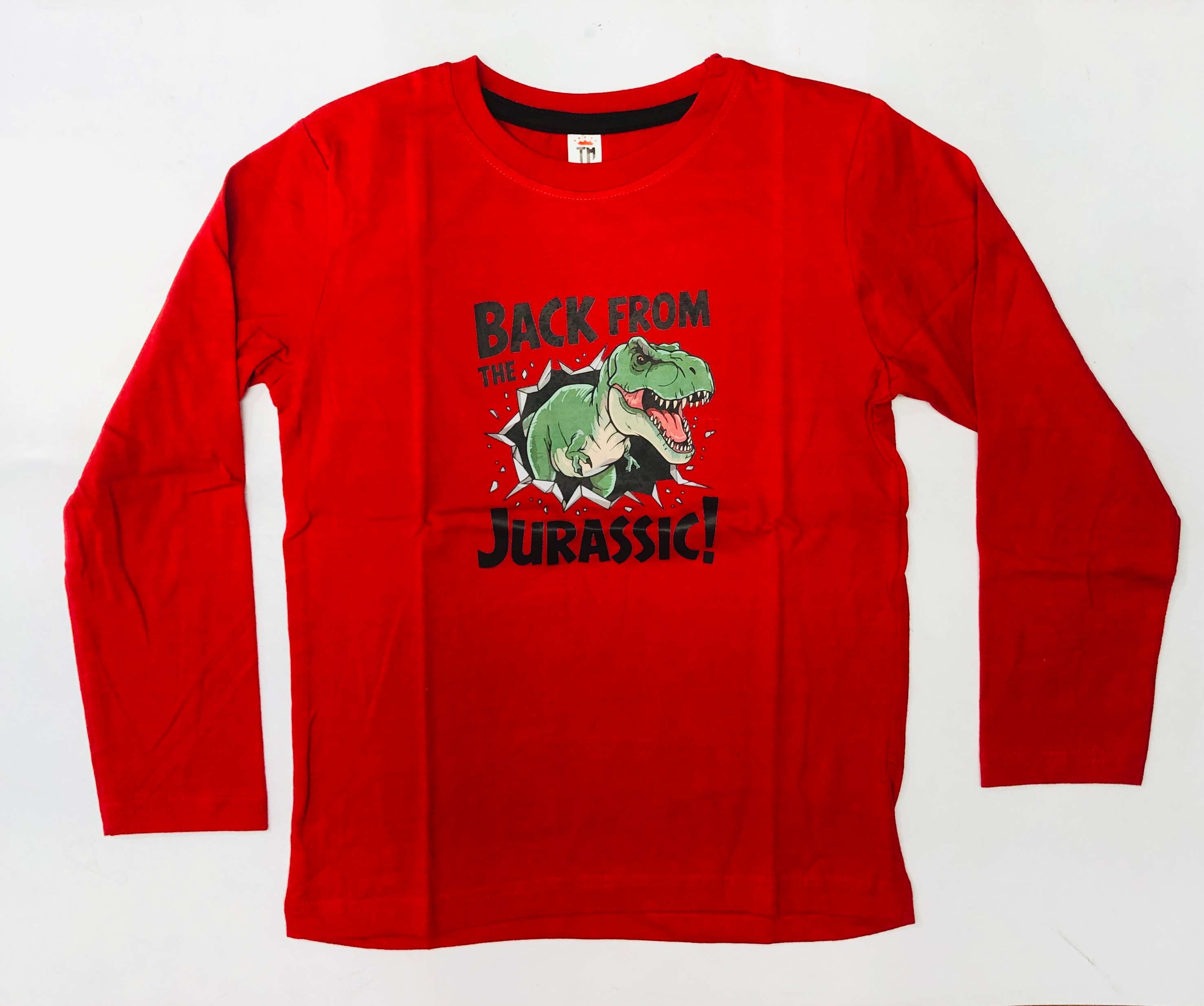 Junior Joy Full Sleeve T-Shirt Combo Pack Of 2