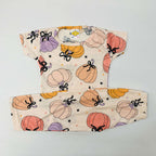 Pant Set