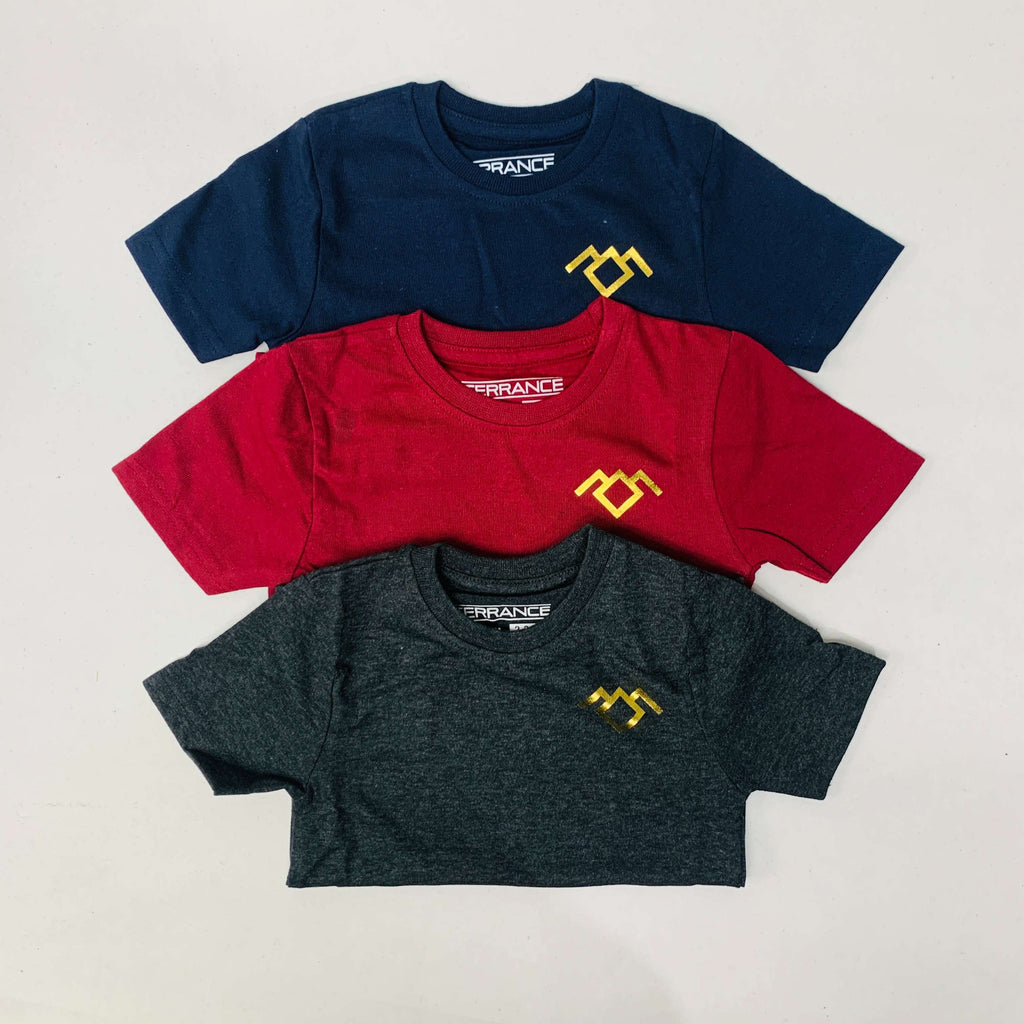 Terrance T-Shirt Combo Pack Of 3