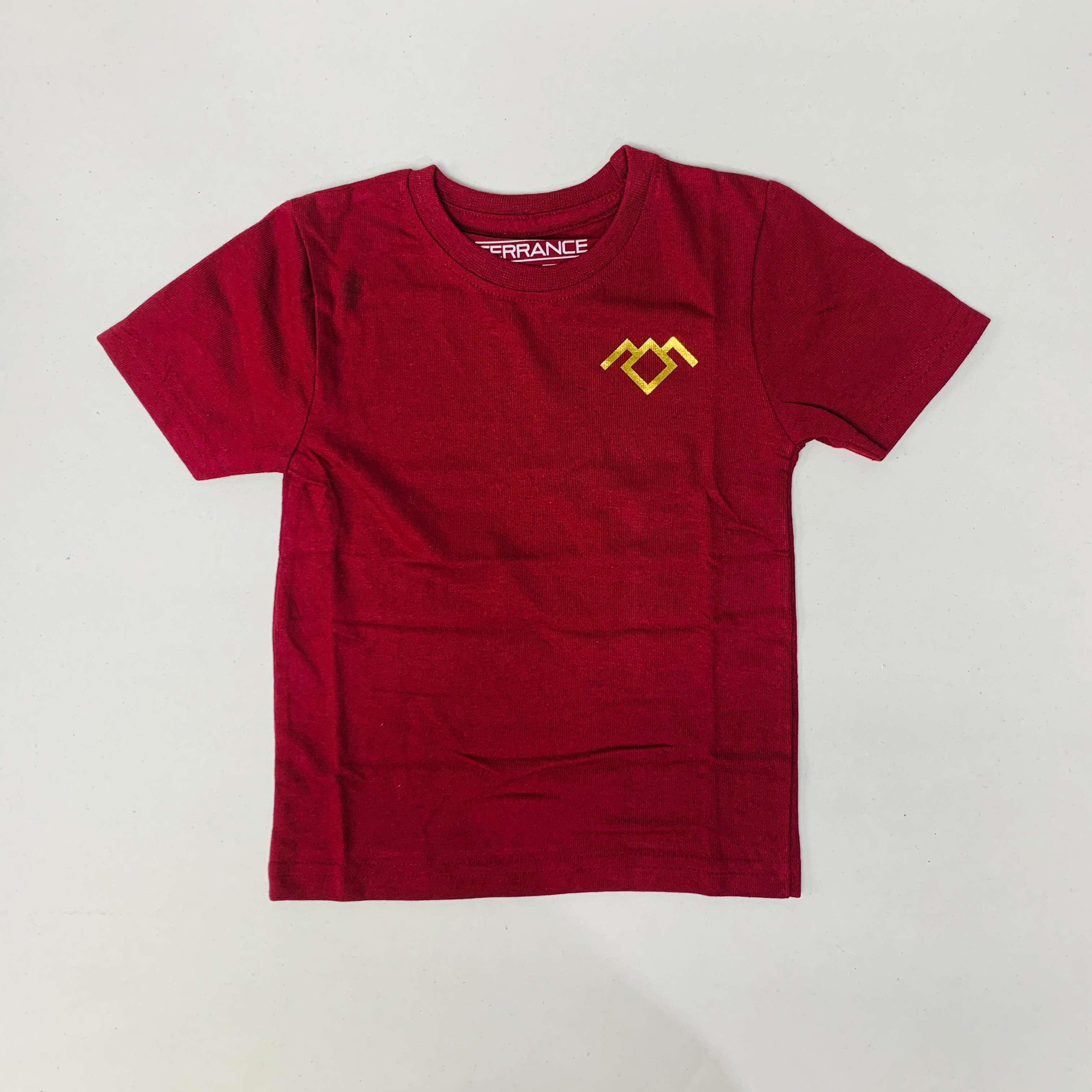 Terrance T-Shirt Combo Pack Of 3