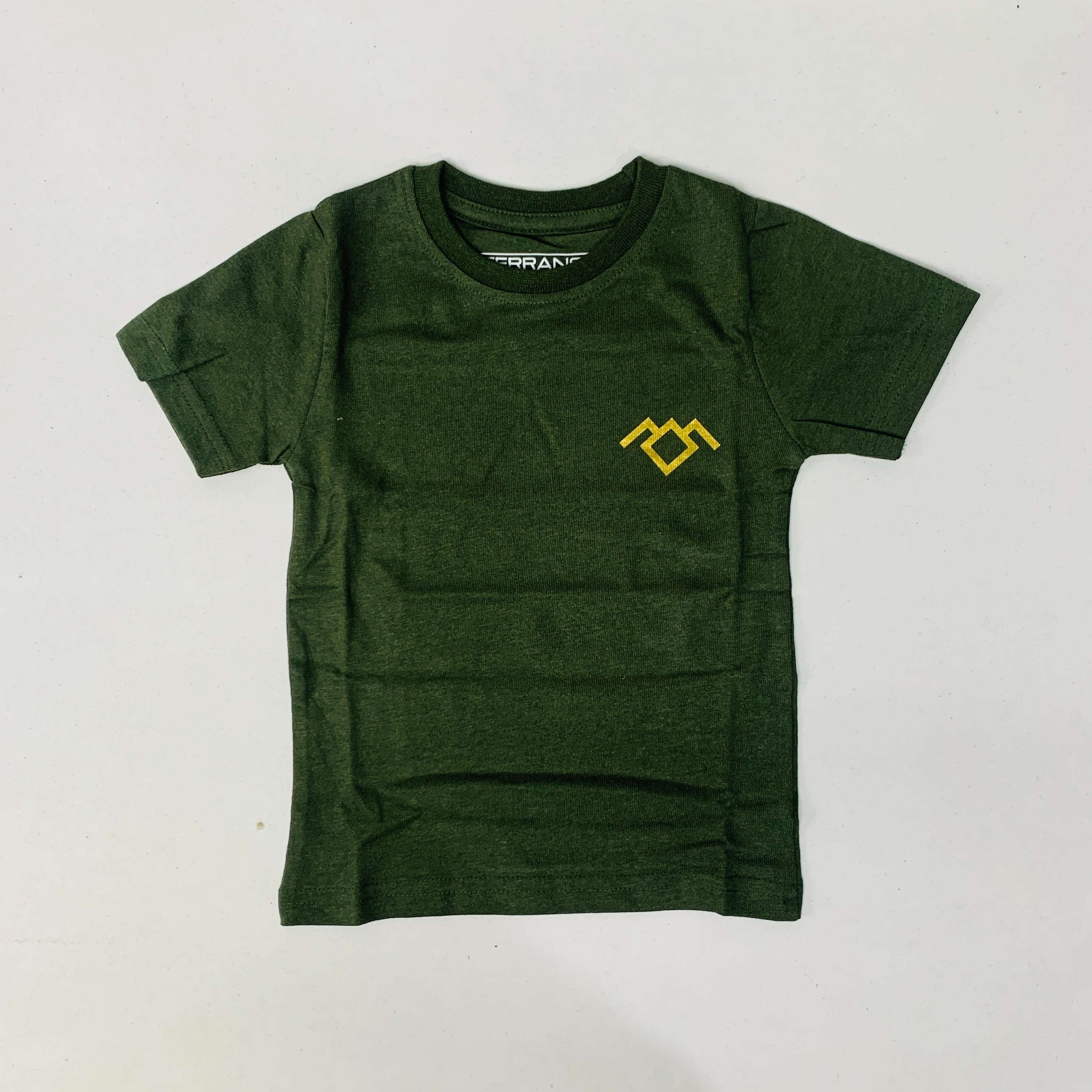 Terrance T-Shirt Combo Pack Of 2