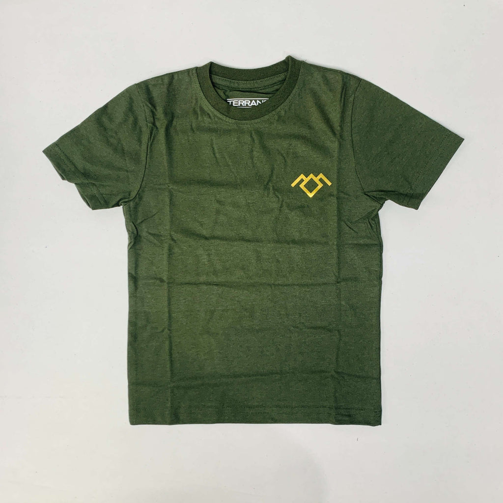 Terrance T-Shirt Combo Pack Of 3