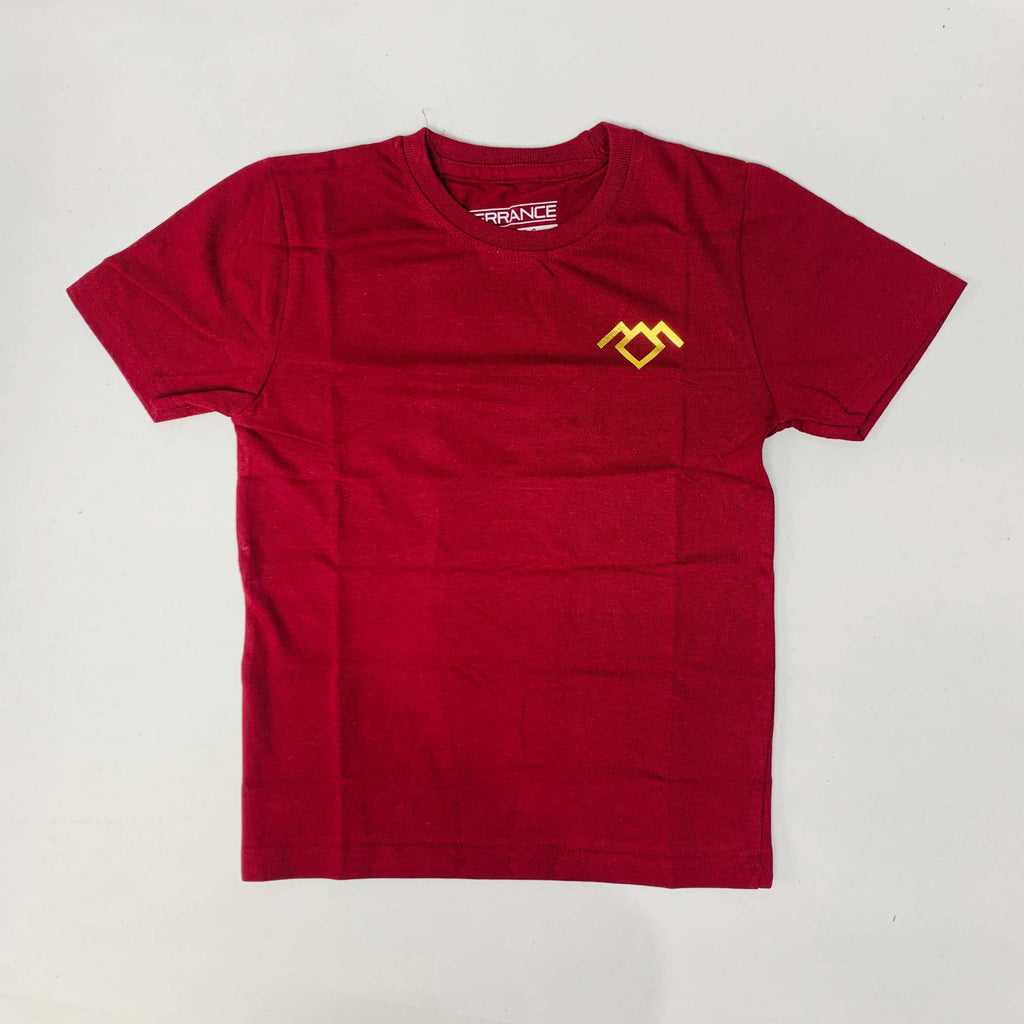 Terrance T-Shirt Combo Pack Of 2