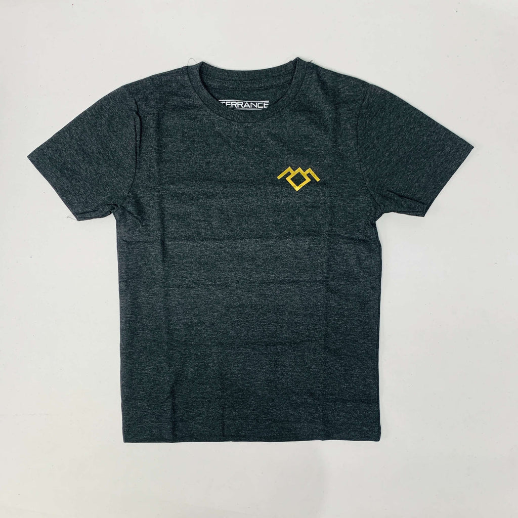 Terrance T-Shirt Combo Pack Of 2