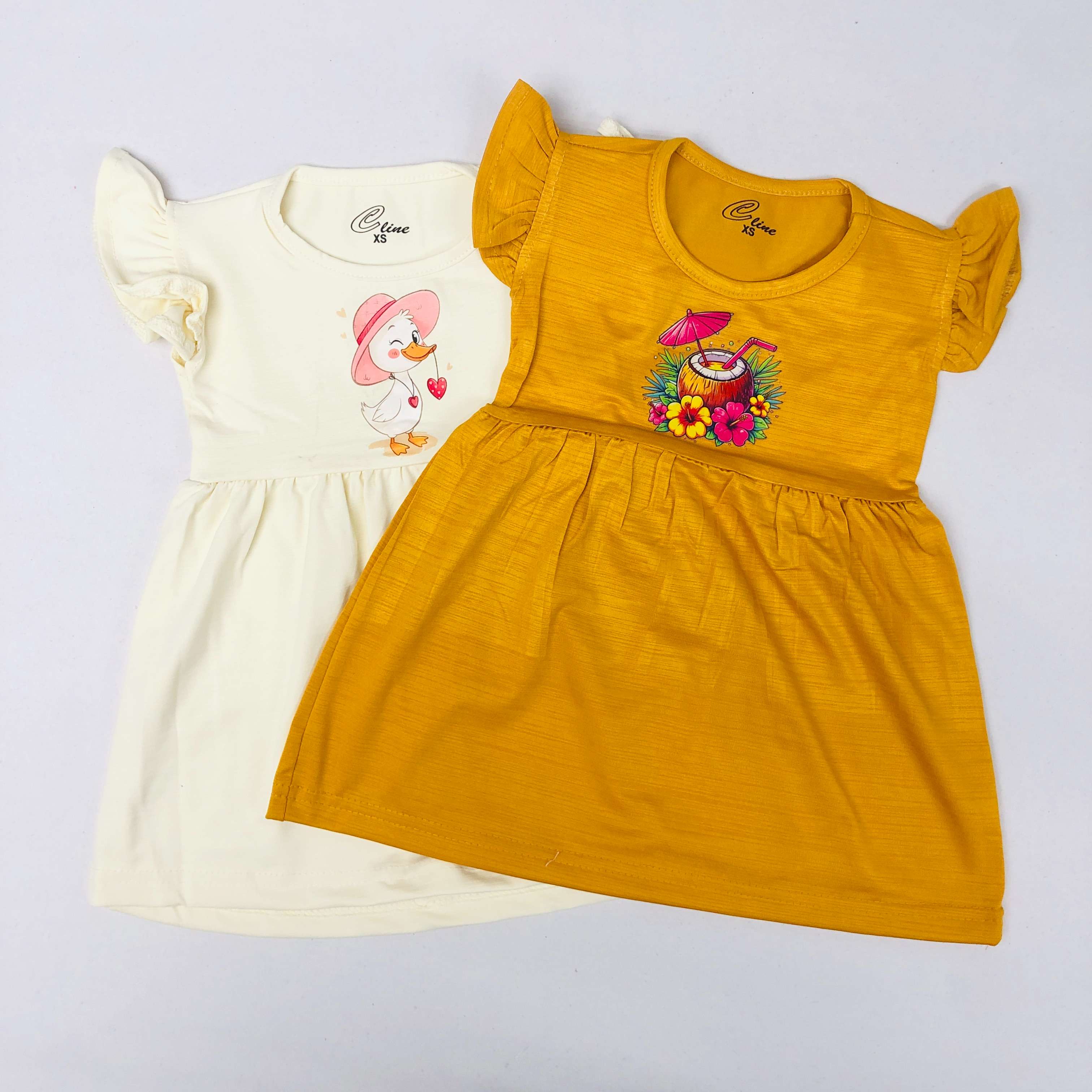 C Line Pretty Frock Combo Pack Of 2