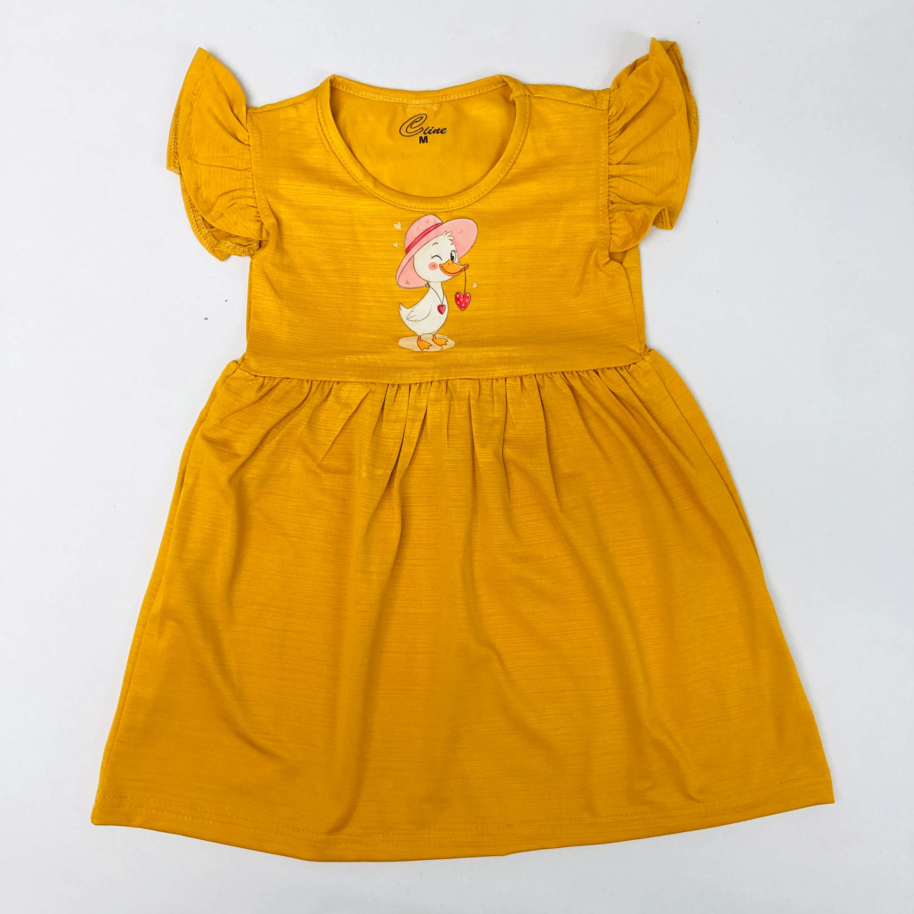 C Line Pretty Frock Combo Pack Of 2