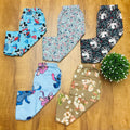 Kids Pant Combo Pack of 5