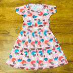 Mini Blossom Frock Combo Pack Of 2
