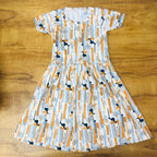 Mini Blossom Frock Combo Pack Of 2