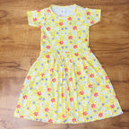 Mini Blossom Frock Combo Pack Of 2