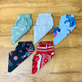Unisex Kids Pants Pack of 5