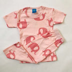 Kids Pant Set