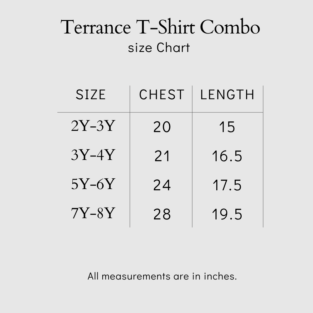 Terrance T-Shirt Combo Pack Of 2